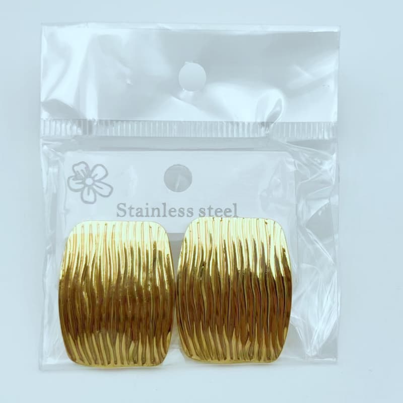 XC Stainless Steel Earrings 01