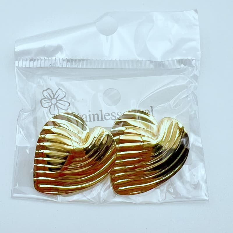 XC Stainless Steel Earrings 01