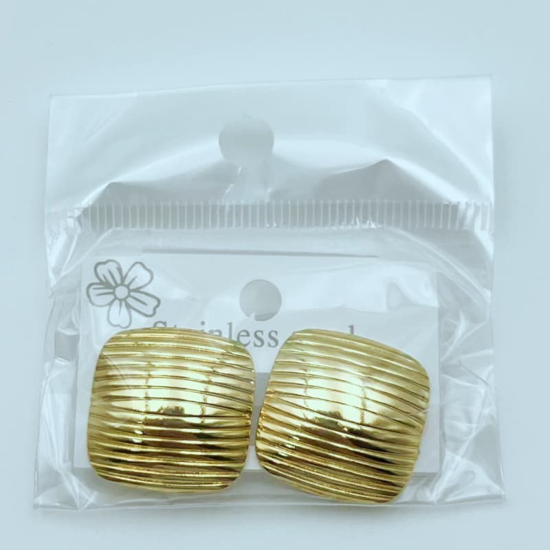 XC Stainless Steel Earrings 03